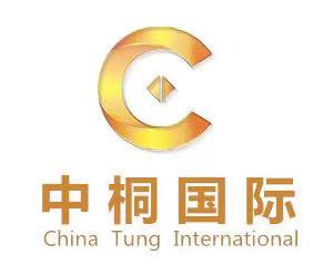 公司注冊(cè) 公司收轉(zhuǎn),資金證明 擺帳顯帳,變更 稅務(wù)疑難,資產(chǎn)評(píng)估 汽車(chē)指標(biāo) 中桐 北京 國(guó)際企業(yè)管理咨詢(xún)公司
